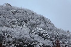雪化粧の山