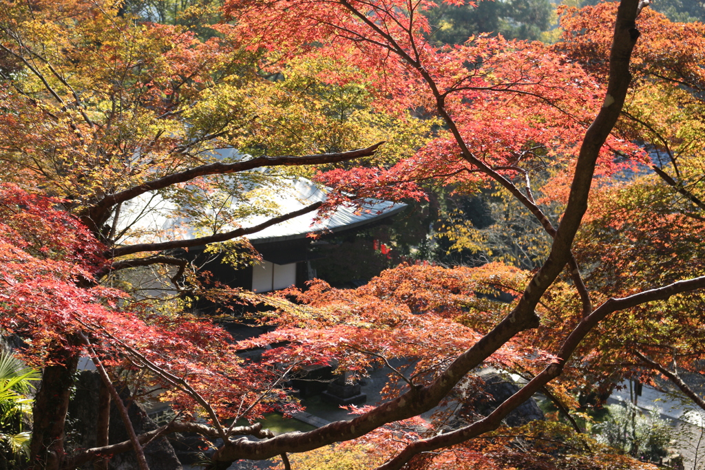 紅葉の石山寺