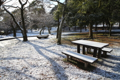 雪化粧の公園