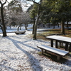 雪化粧の公園