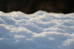 雪原