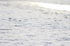 雪景色の広場