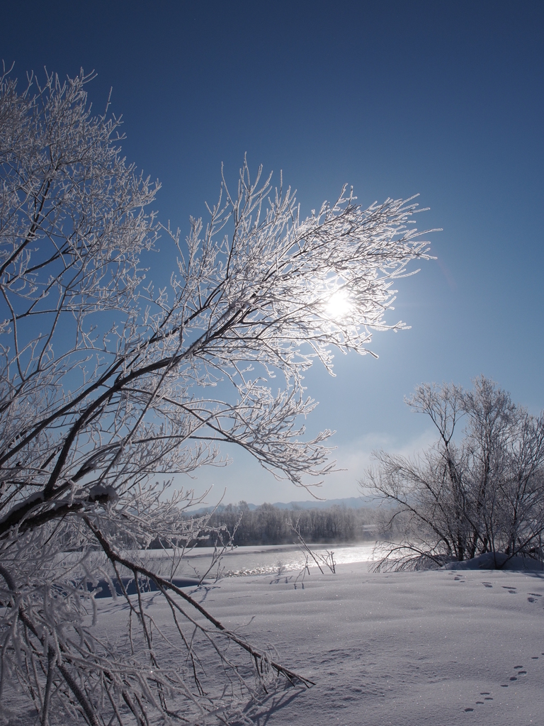 Dance of the ice monsterⅤ