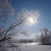 Dance of the ice monsterⅤ