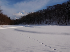 The Winter MemoriesⅥ