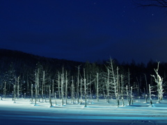 Blue Pond　in Biei