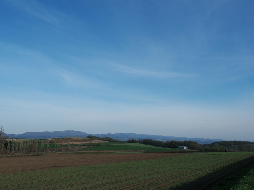 富良野～朝の風景Ⅲ
