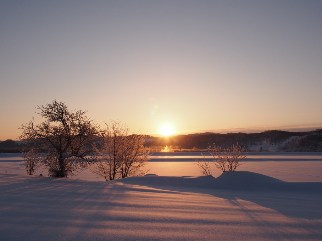 Sorachi Sun Rise