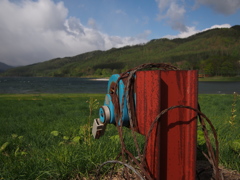 富良野の初夏～７