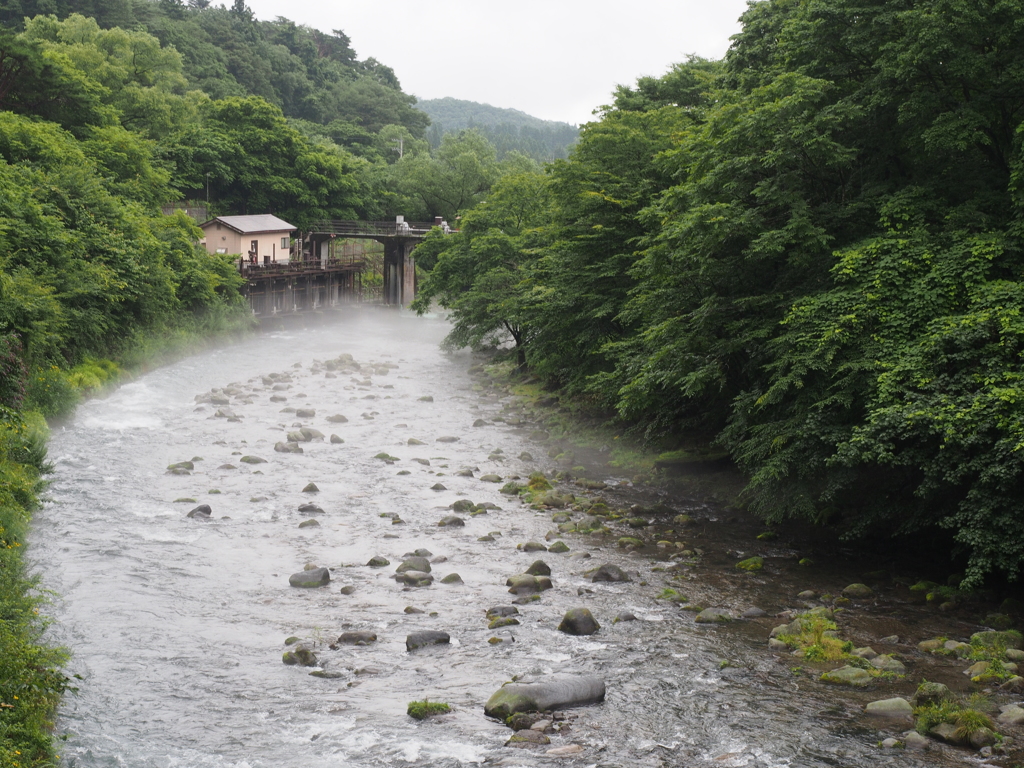 雨の日光