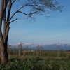 富良野～朝の風景Ⅱ