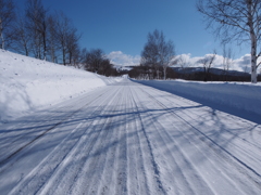 この道の向こうへ