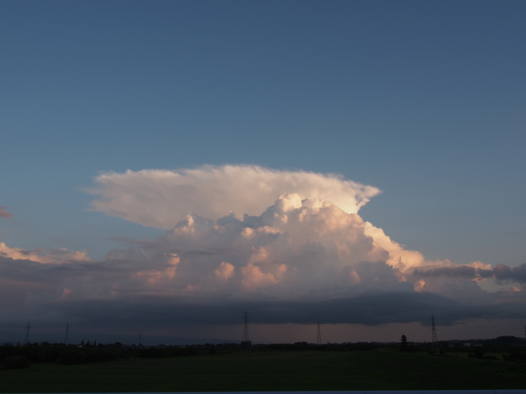 ある日の夏雲