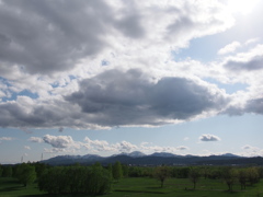 空知