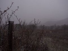 10月25日、初雪２