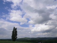 美瑛　雲の丘１