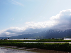 富良野の初夏～彼方の山