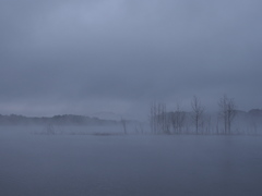 syumarinai 4:13AM　～　霧に煙る湖面