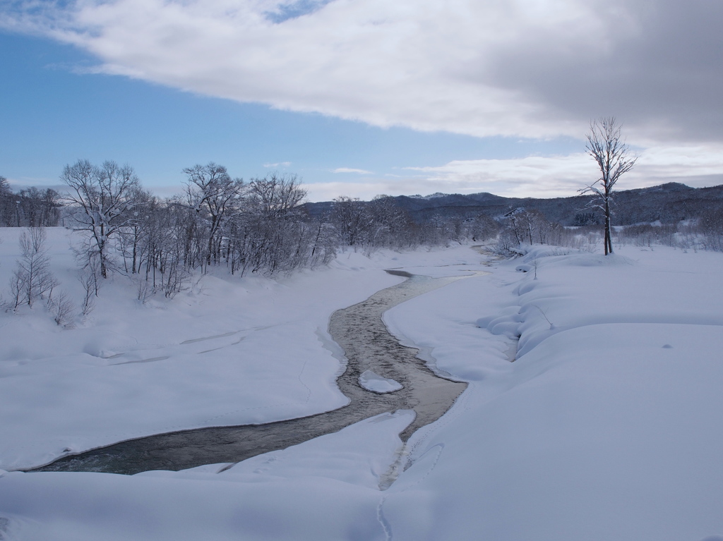 Cold River７
