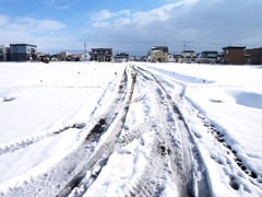 轍の競演