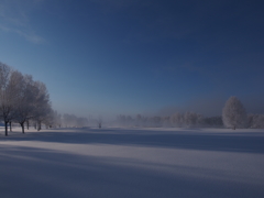 Winter FogⅡ