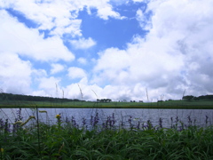 夏～雨竜沼湿原