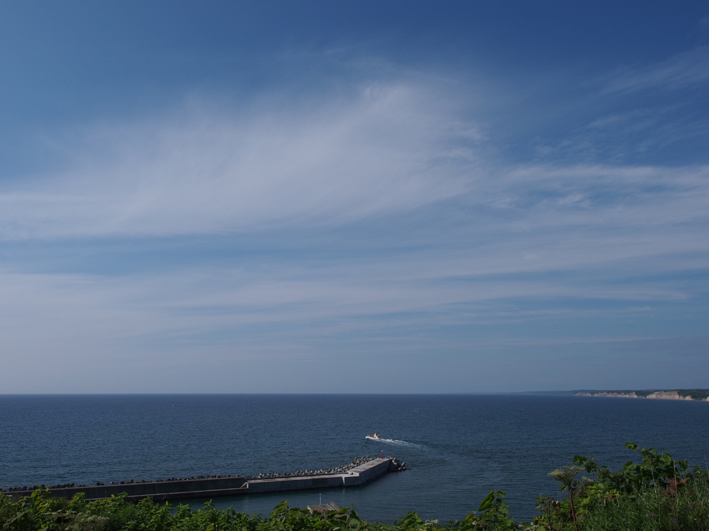 オロロンラインの夏５