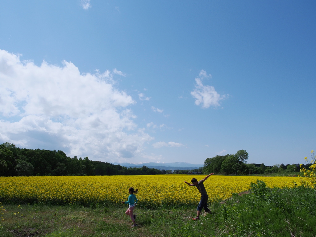 ある初夏の一日