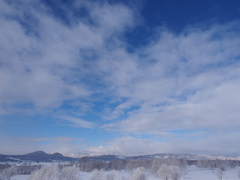 空の色を伝えたくて