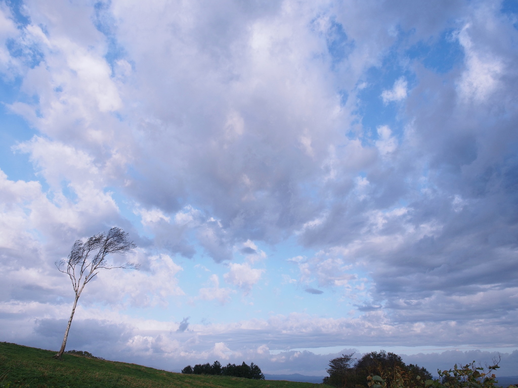 高原にて～嵐の翌朝にⅣ