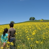 初夏の一日
