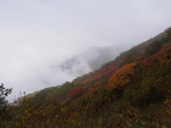 2015大雪　紅葉