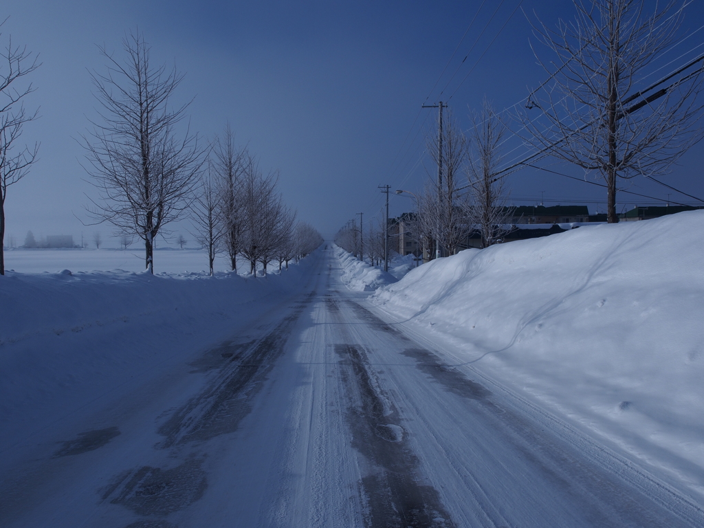 Winter blue