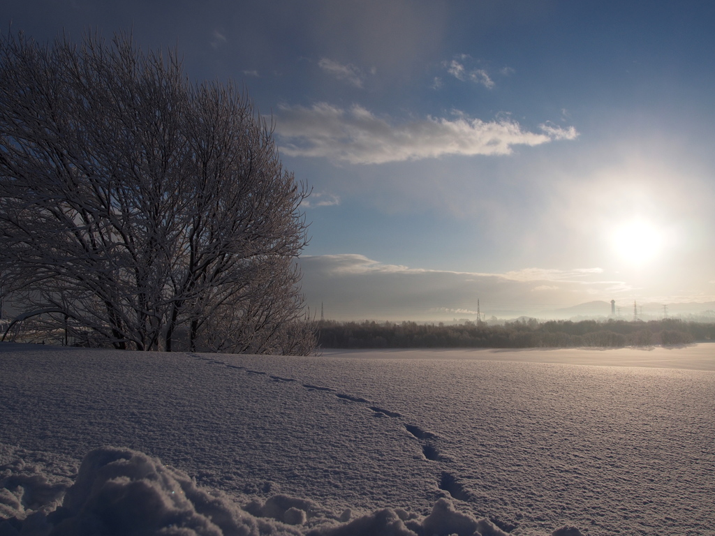 Footprint on the snow