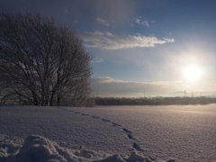 Footprint on the snow