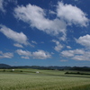 夏の白銀の丘２