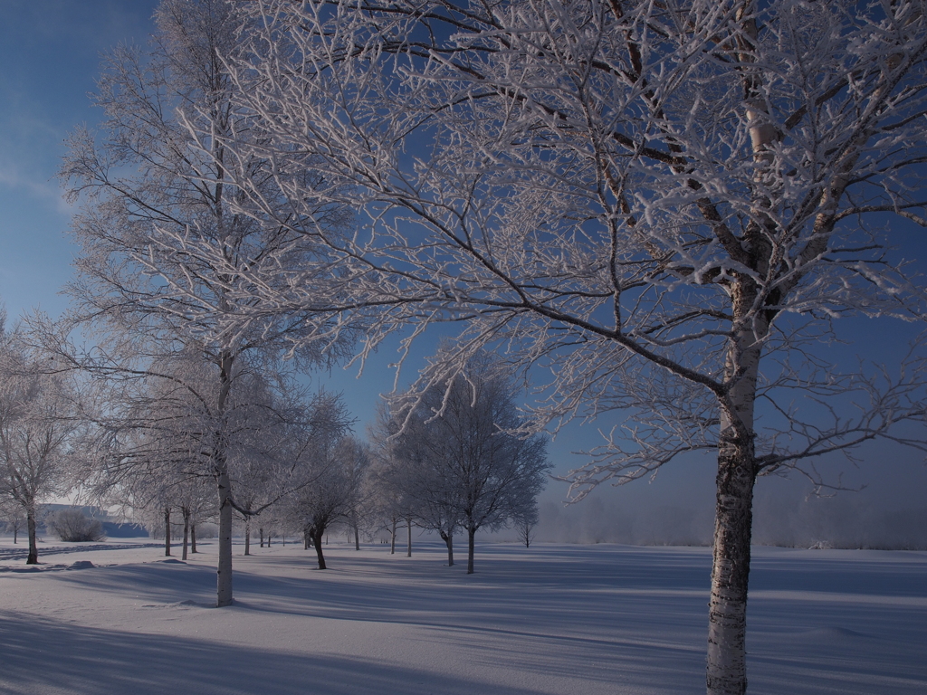 Winter FogⅠ