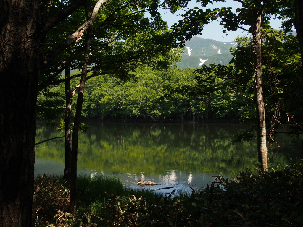 知床五湖　地上遊歩道Ⅴ