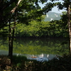 知床五湖　地上遊歩道Ⅴ