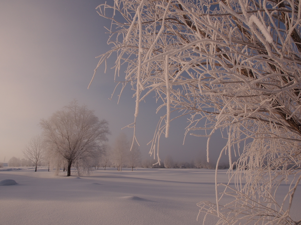 Frozen Planet　Ⅰ