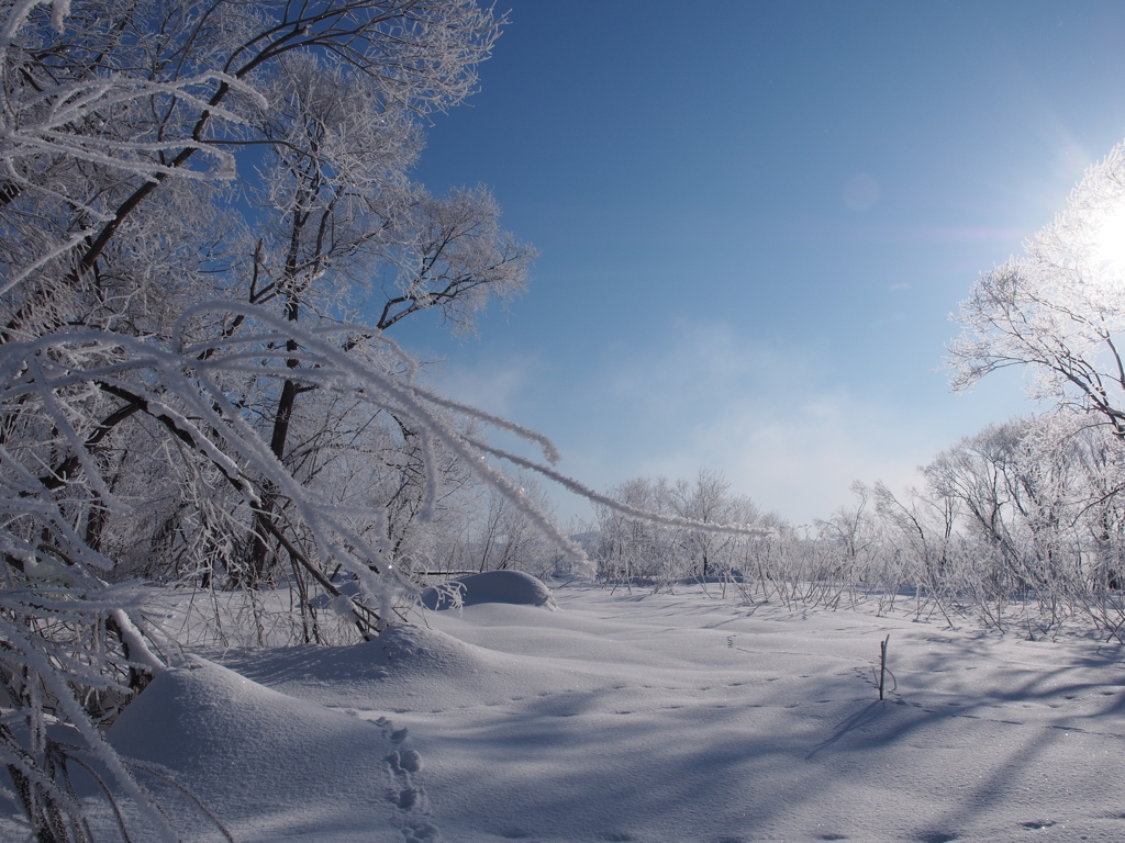 Dance of the ice monsterⅢ