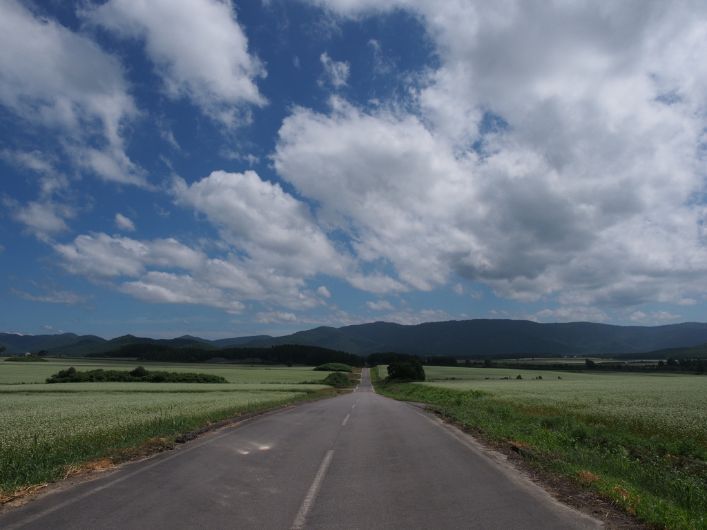 夏の白銀の丘