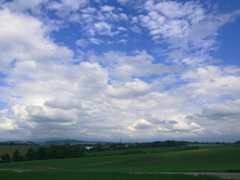 美瑛　雲の丘２