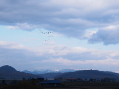 空知　初冬６