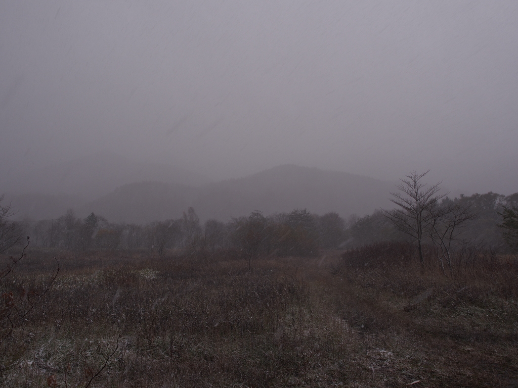 10月25日、初雪１