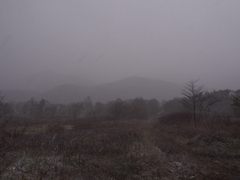 10月25日、初雪１
