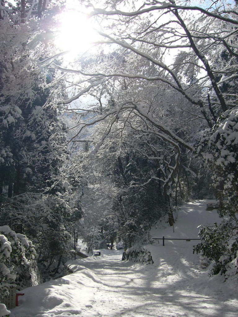 いつかの雪景色