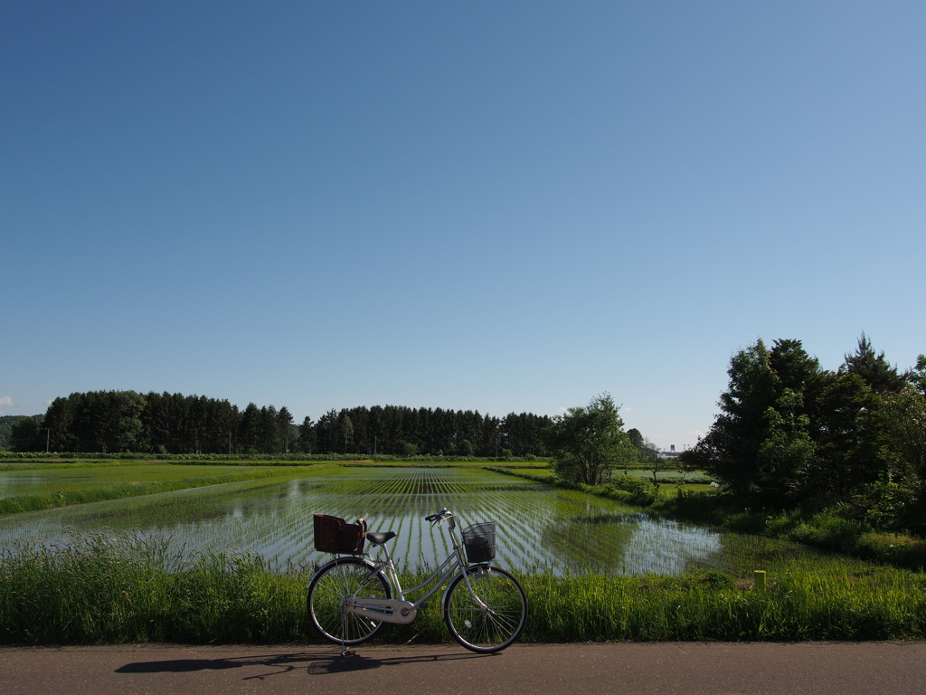 初夏のブルー番外編