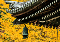 黄金色の響き