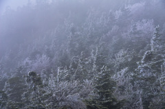 横手　雪に霞む　２